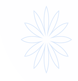 星空体育中国官方网站About